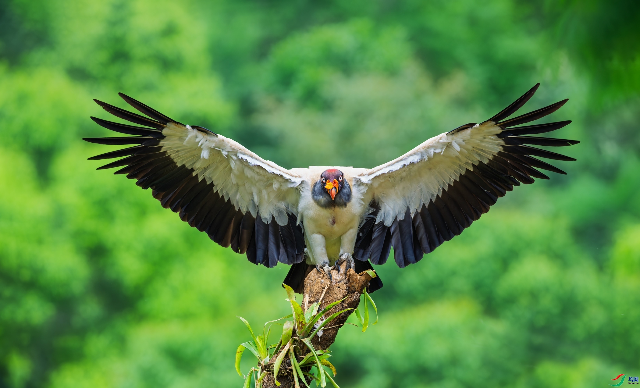 10.14 ����������ʦ��Ʒ  ˭������  �ٻ�2025��10��14�հ�����ҳ����.jpg