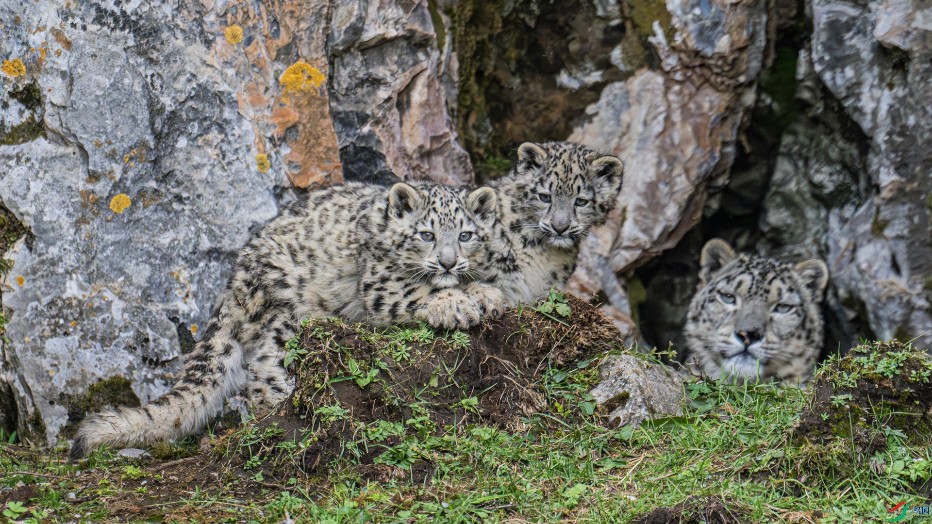 DSC_9999 ����_����.jpg