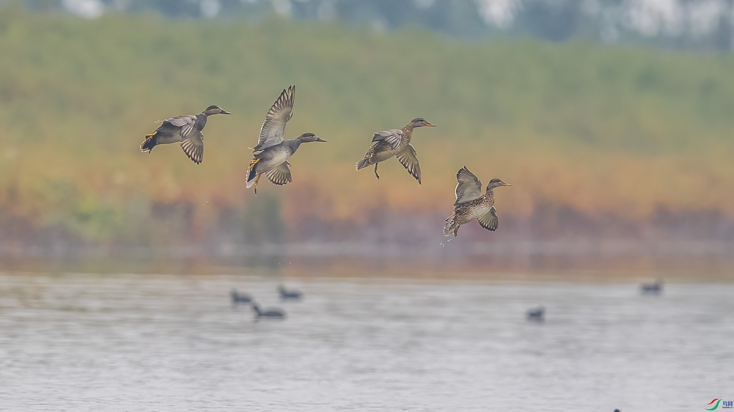 DSC_1560 ���� 2.jpg