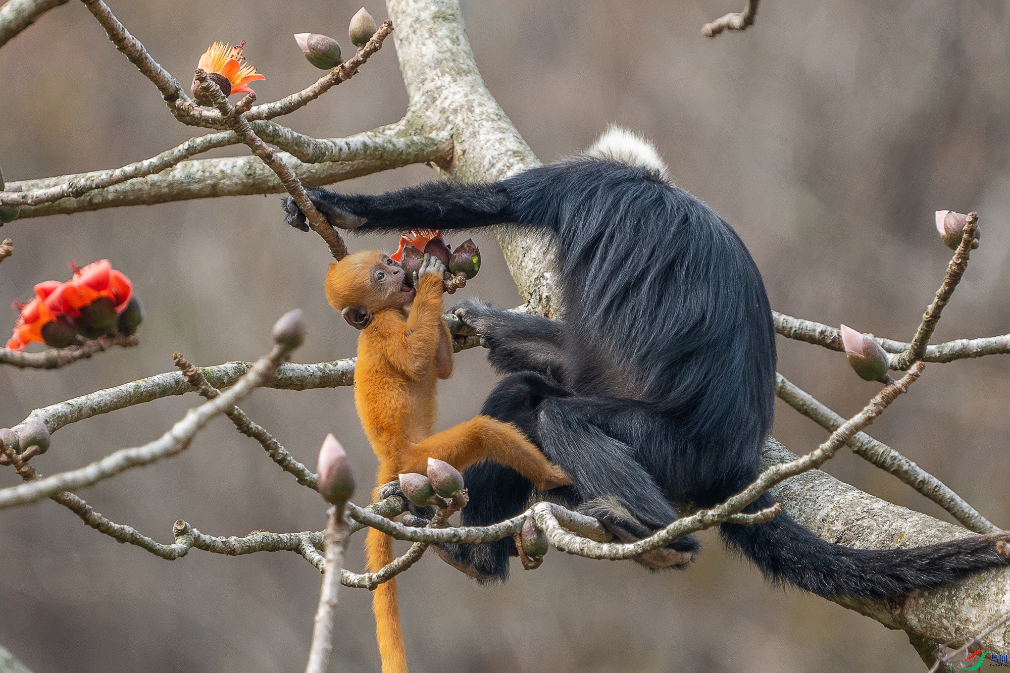 DSC06224 ���� 2.jpg