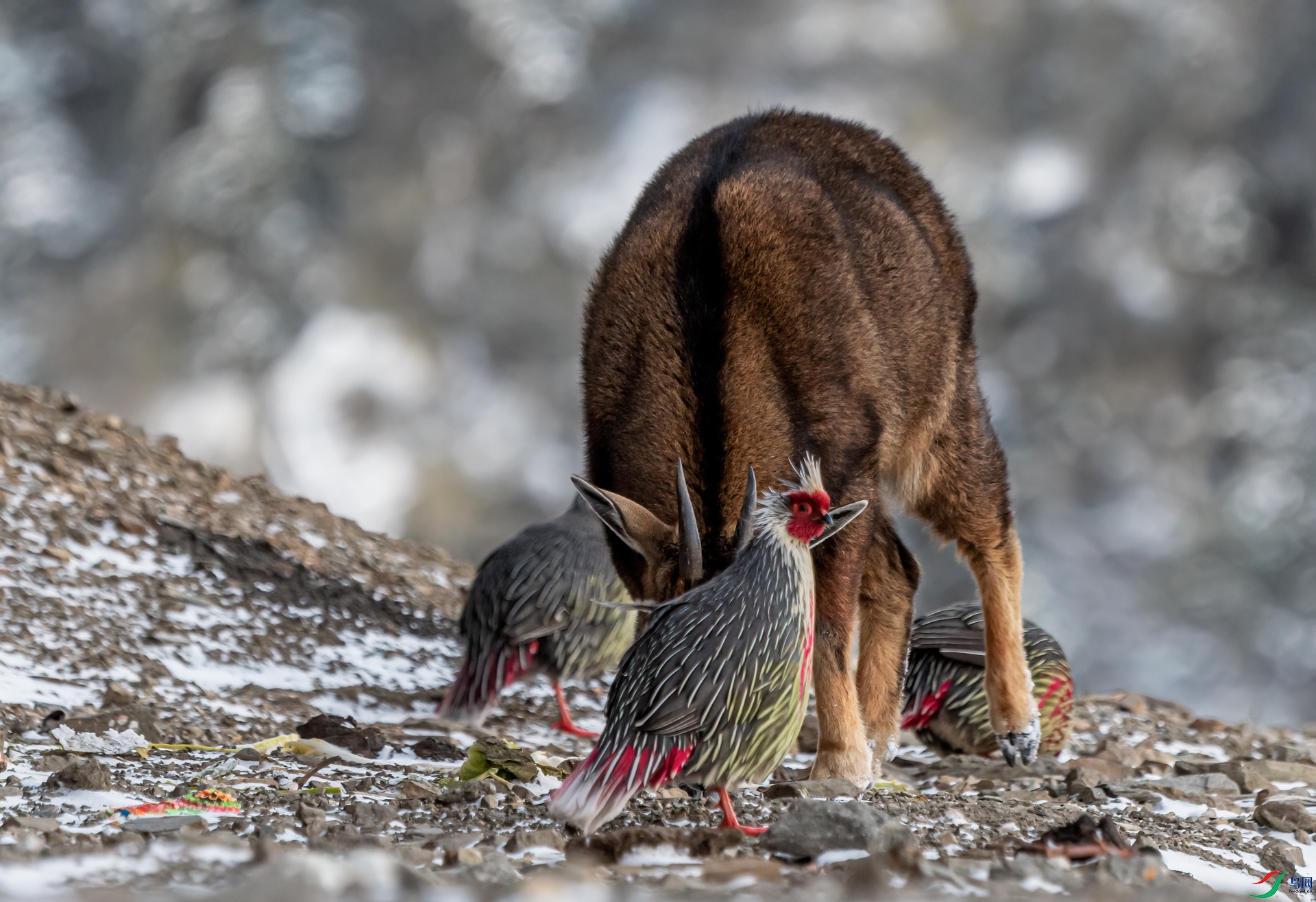 DSC_7601-11.jpg