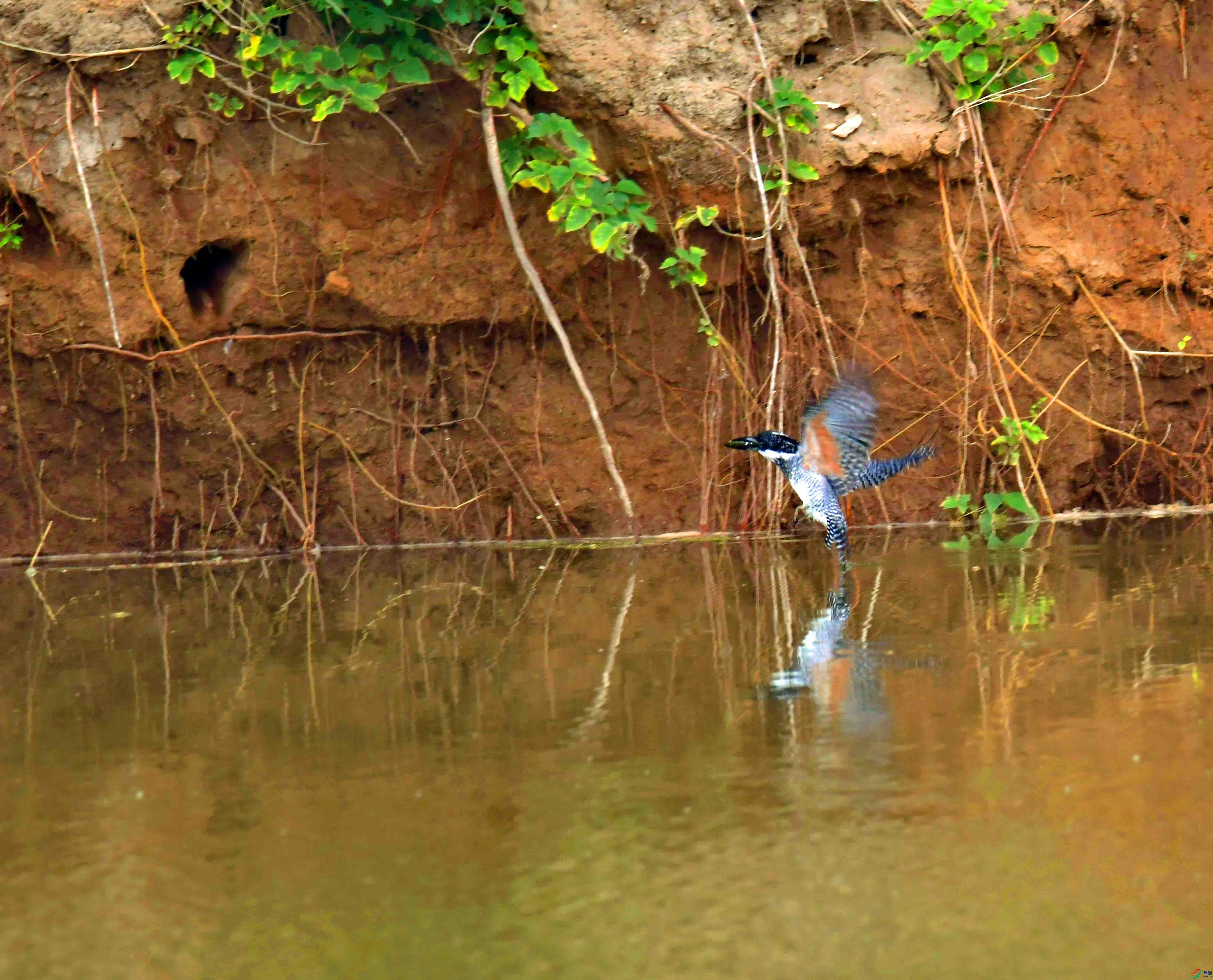 DSC_0009.JPG