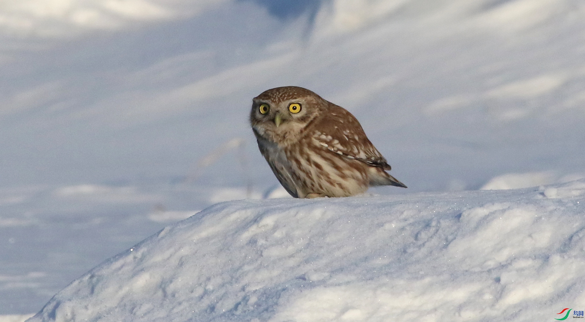 0G1A7945 ����.jpg