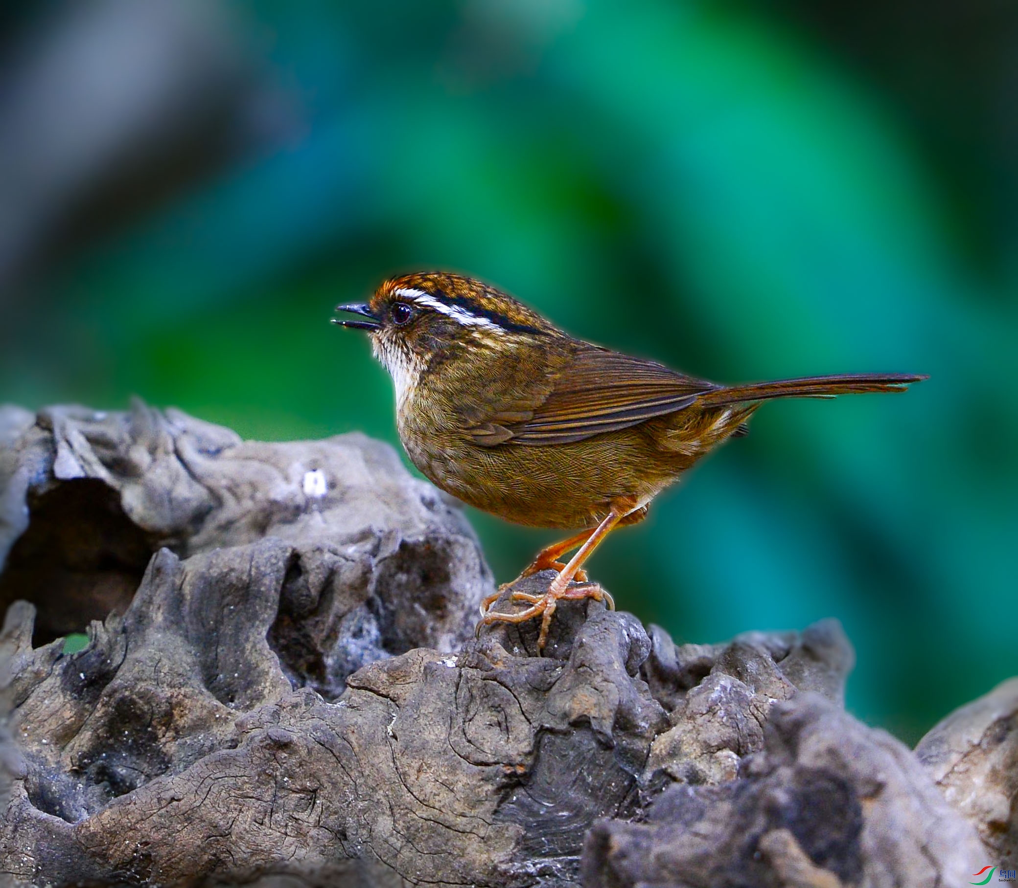 DSC_7618_���ٿ�ͼ.jpg