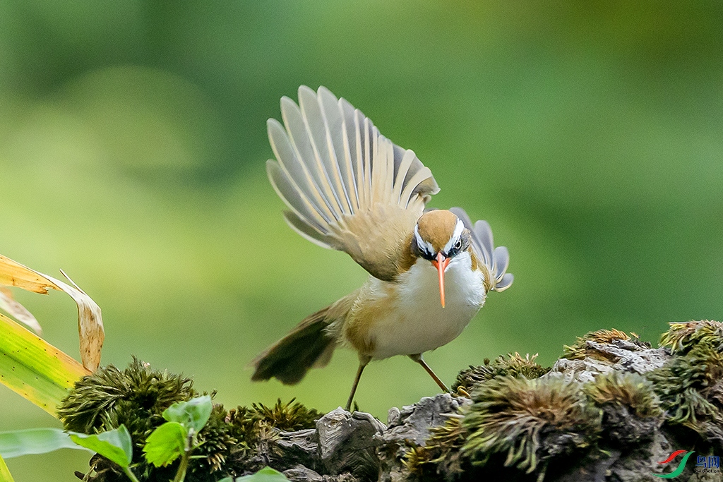 0F7A5409 ����.jpg