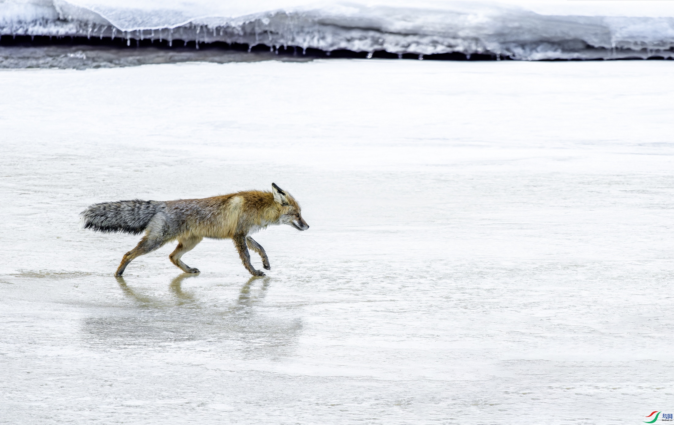 ��� (7)-01.jpg