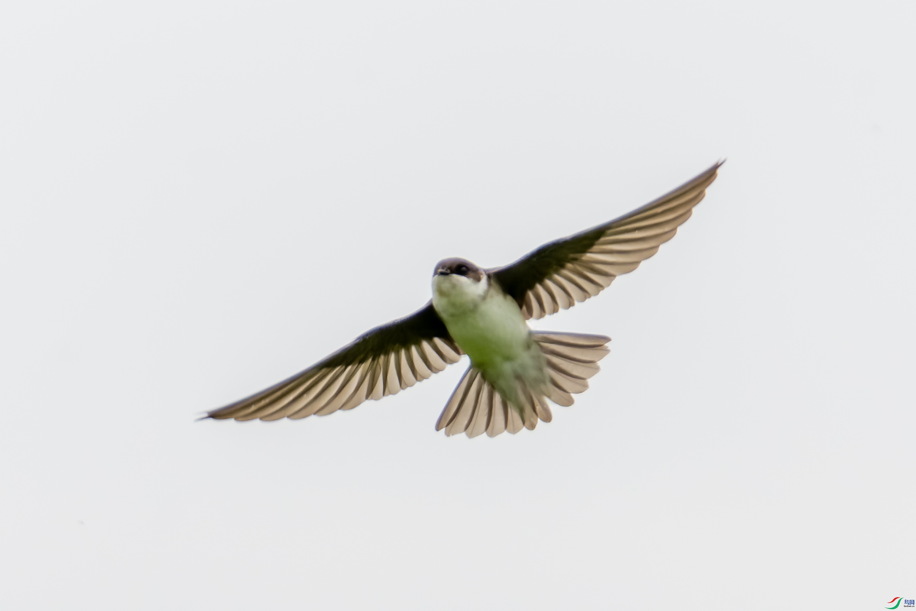DSC08149-1.jpg