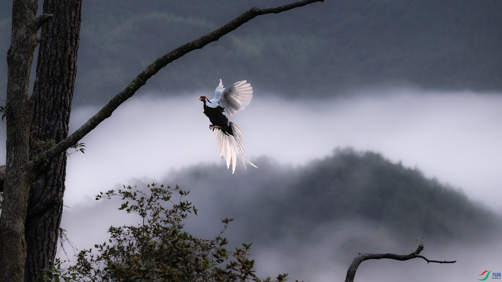 _DSC4077 ����1.jpg