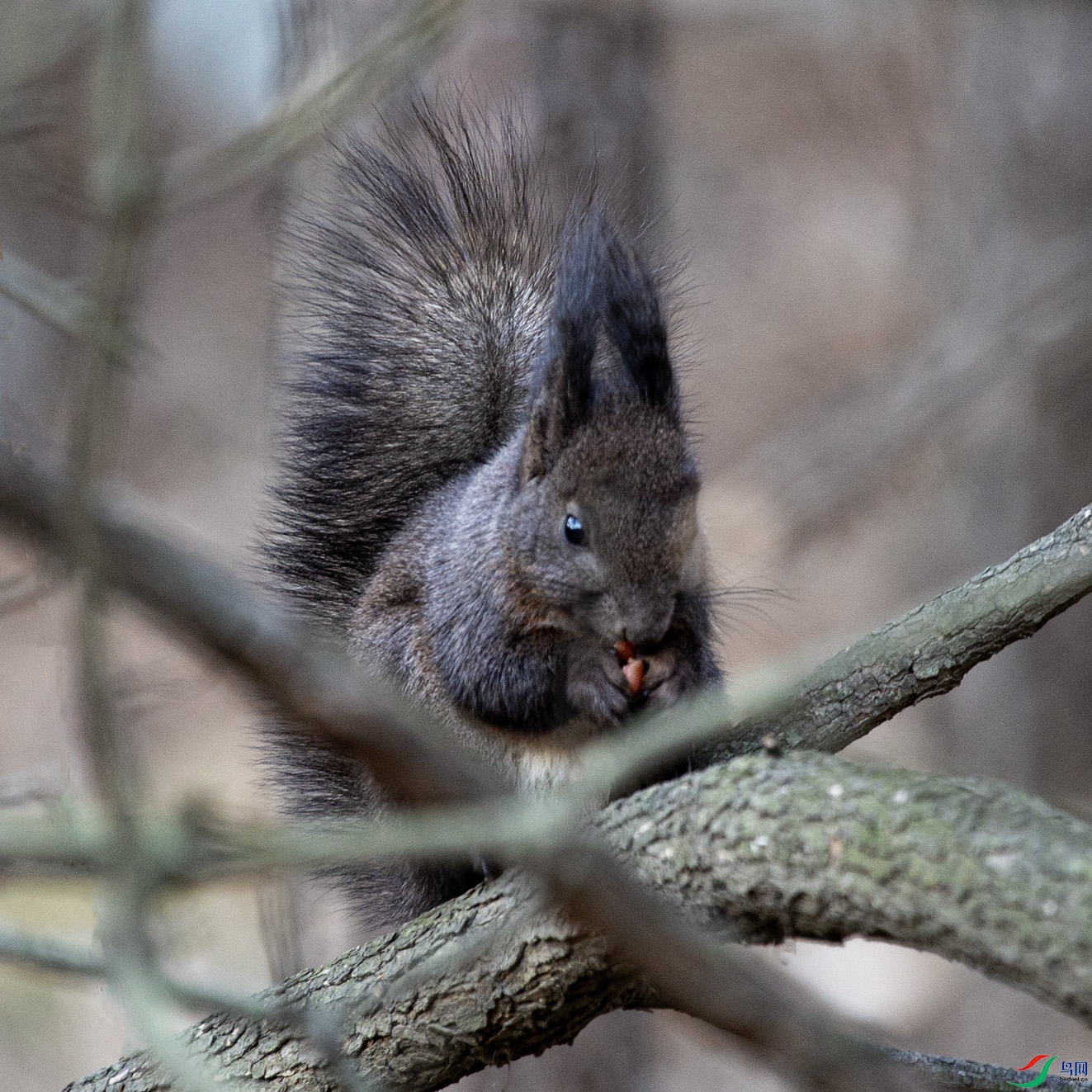 _MG_7407 ���� 2.jpg