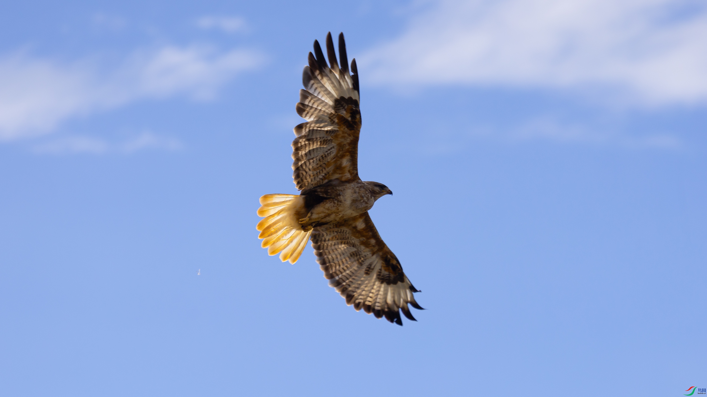 7X5A4546 ����.jpg