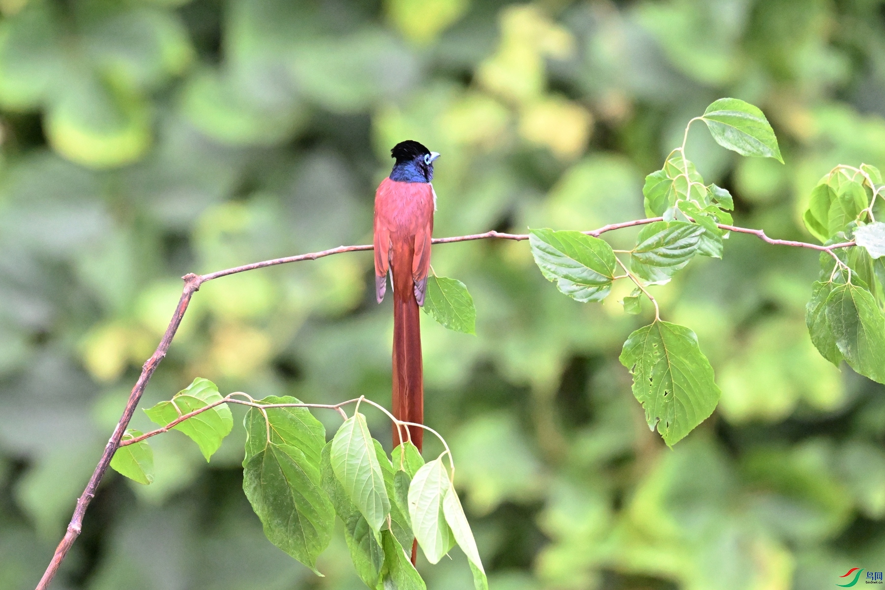 DSC_6809.JPG
