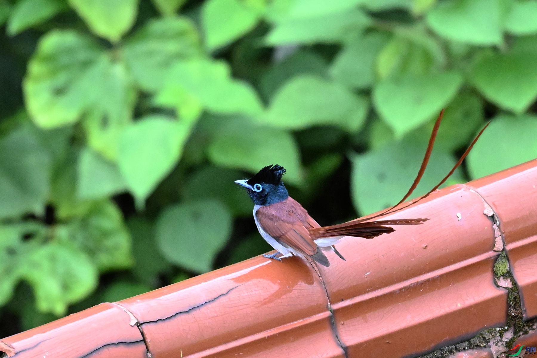 DSC_6835.JPG