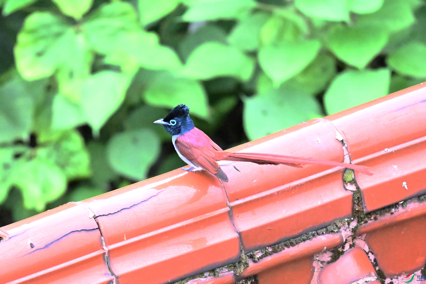 DSC_6839.JPG