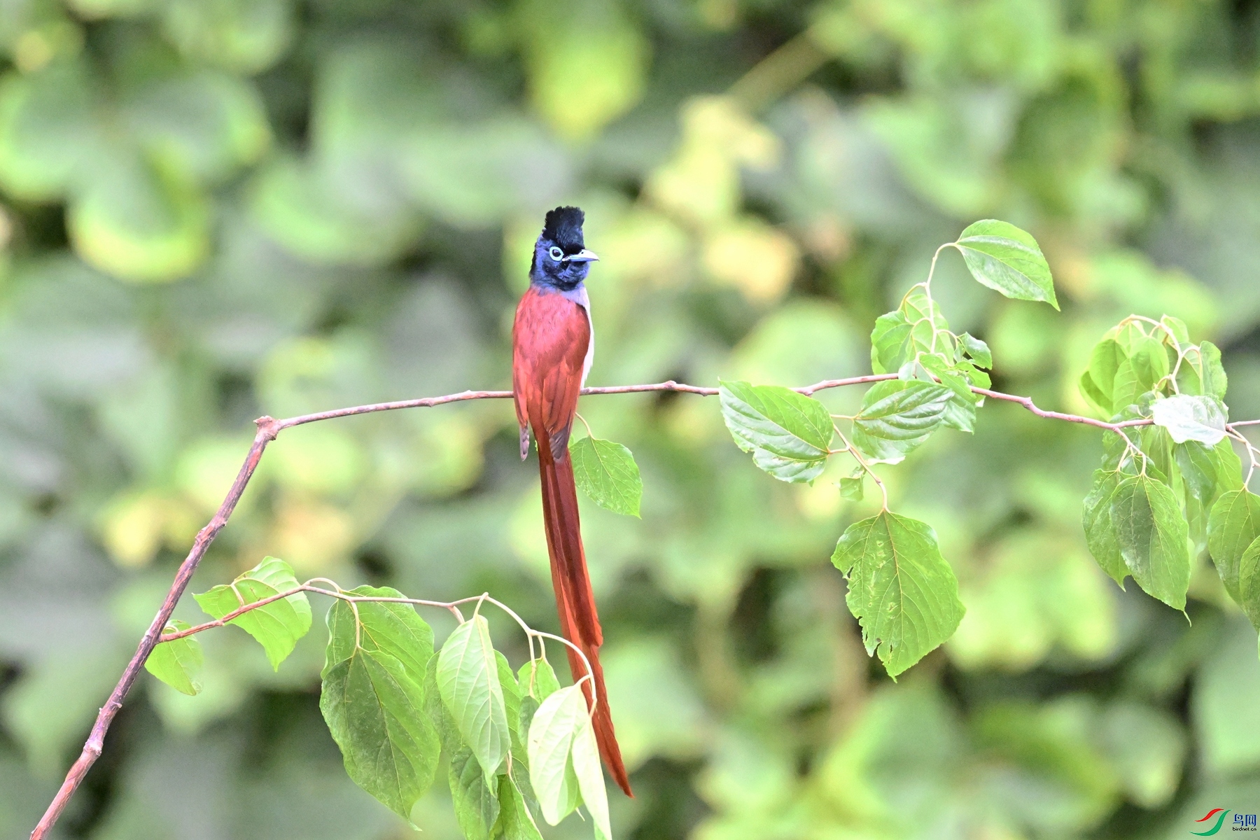 DSC_6815.JPG