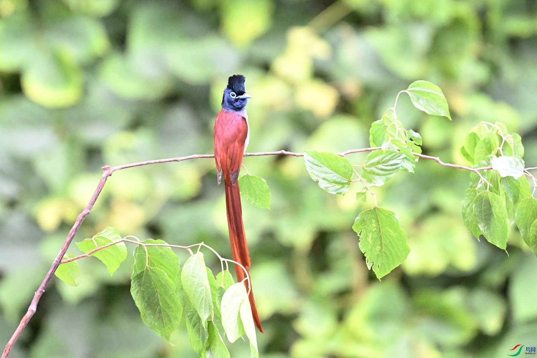 DSC_6816.JPG