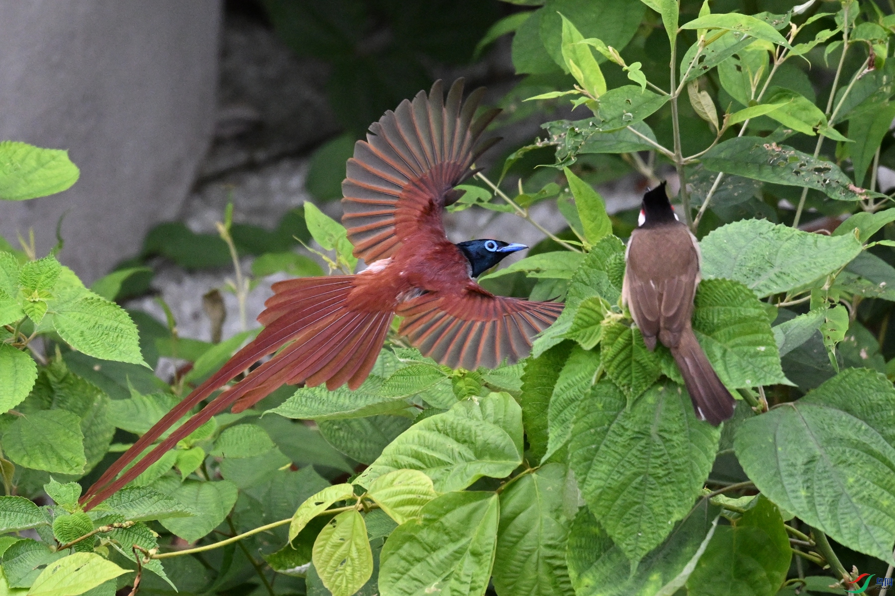DSC_6675.JPG
