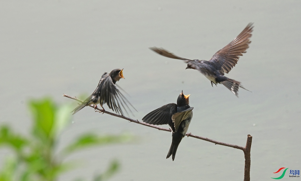 DSCF5650.1.jpg