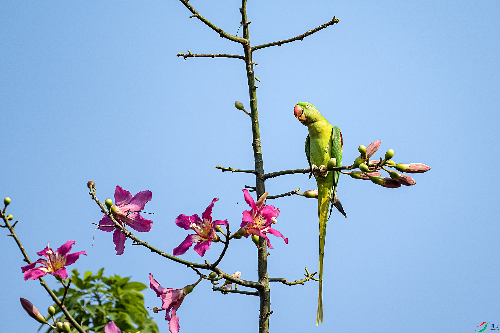 DSC_9391.jpg