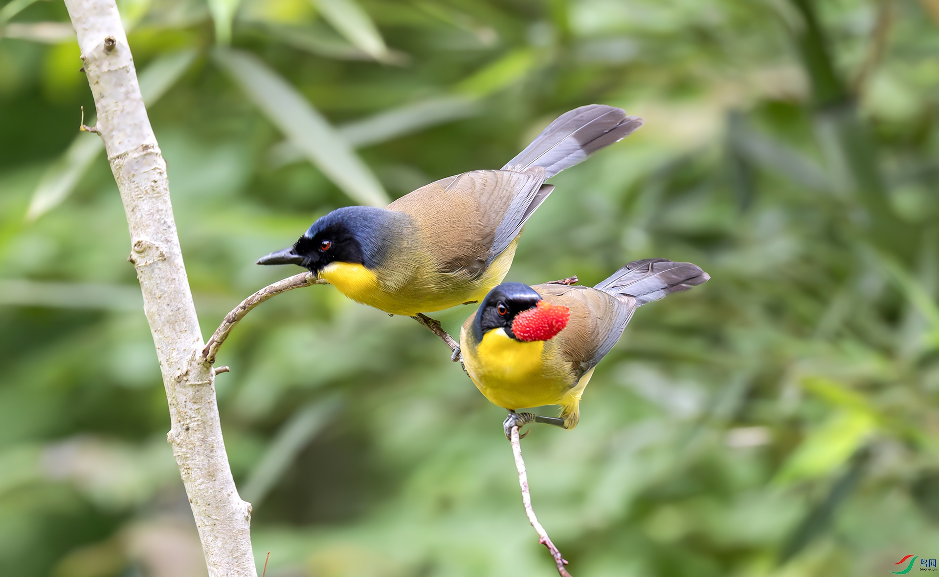 060A7334-----22  .jpg