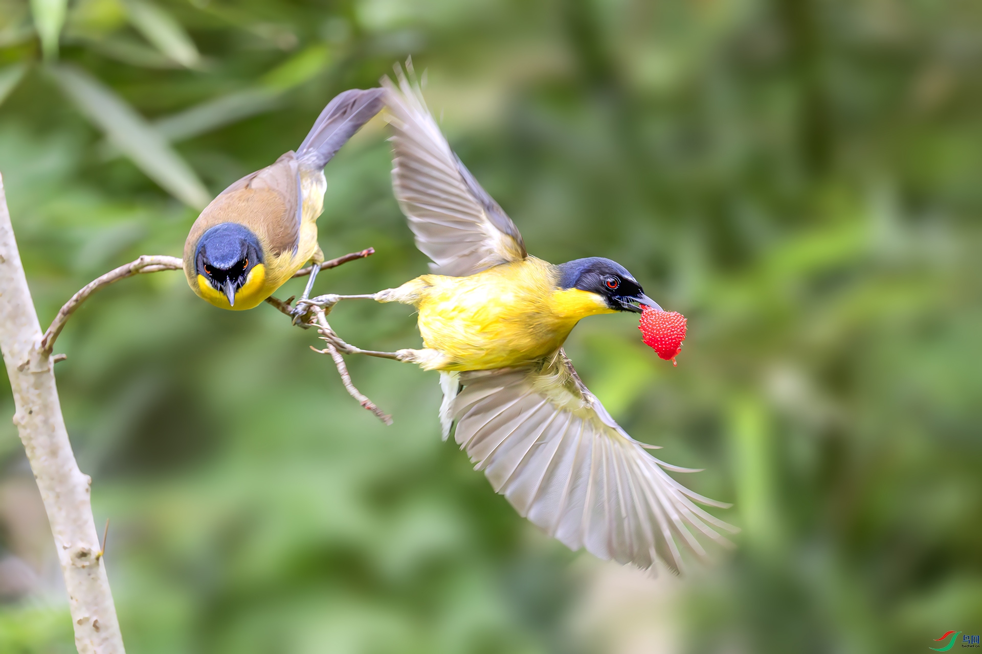 060A7156------22  .jpg