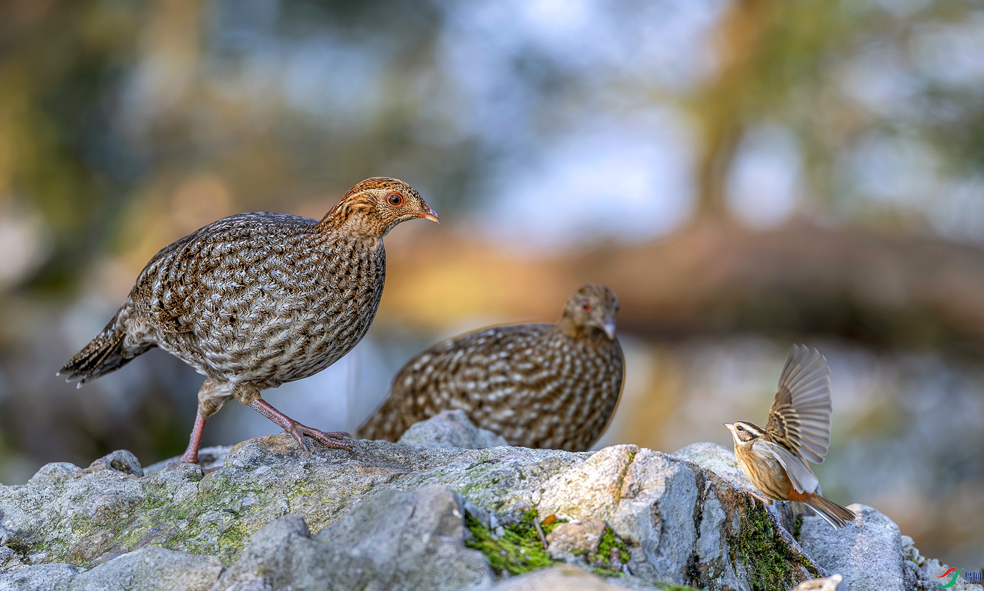 060A9923-----22  .jpg