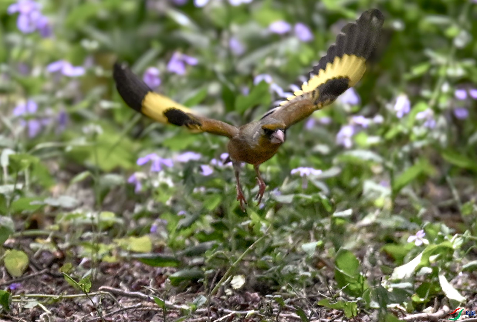 DSC_6887   ��_1.jpg