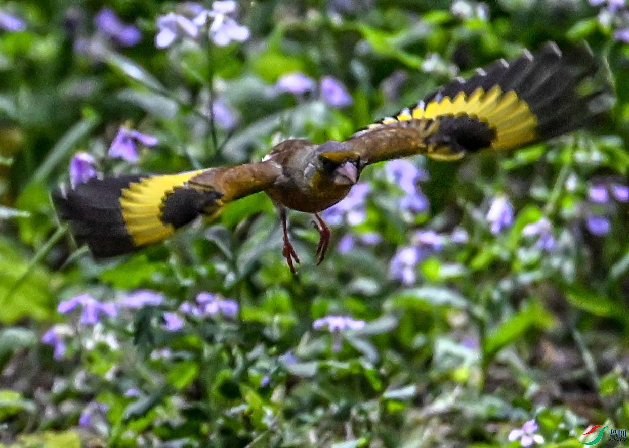 DSC_6893   ��.jpg