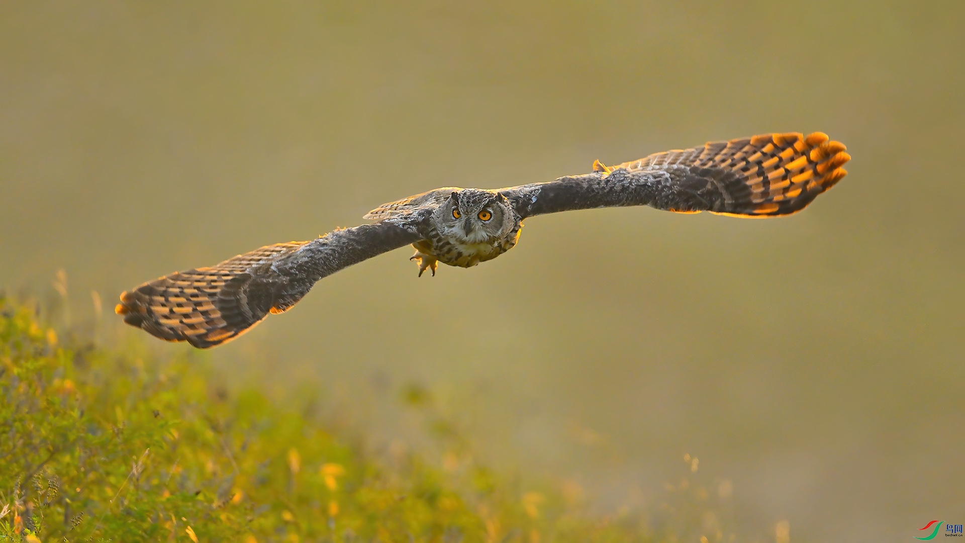 XHH_5915 ���� 2.jpg