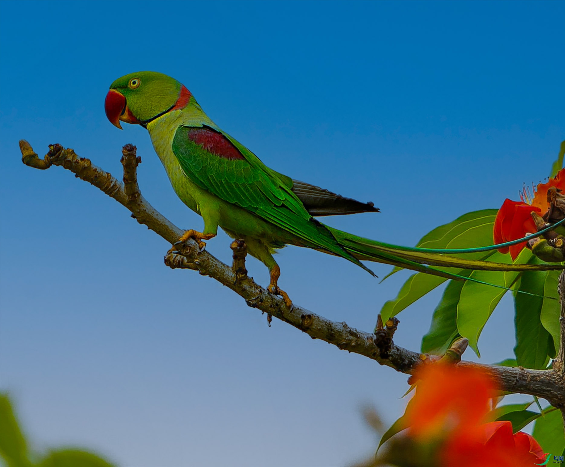 DSC_7566--����--5_���ٿ�ͼ����.jpg
