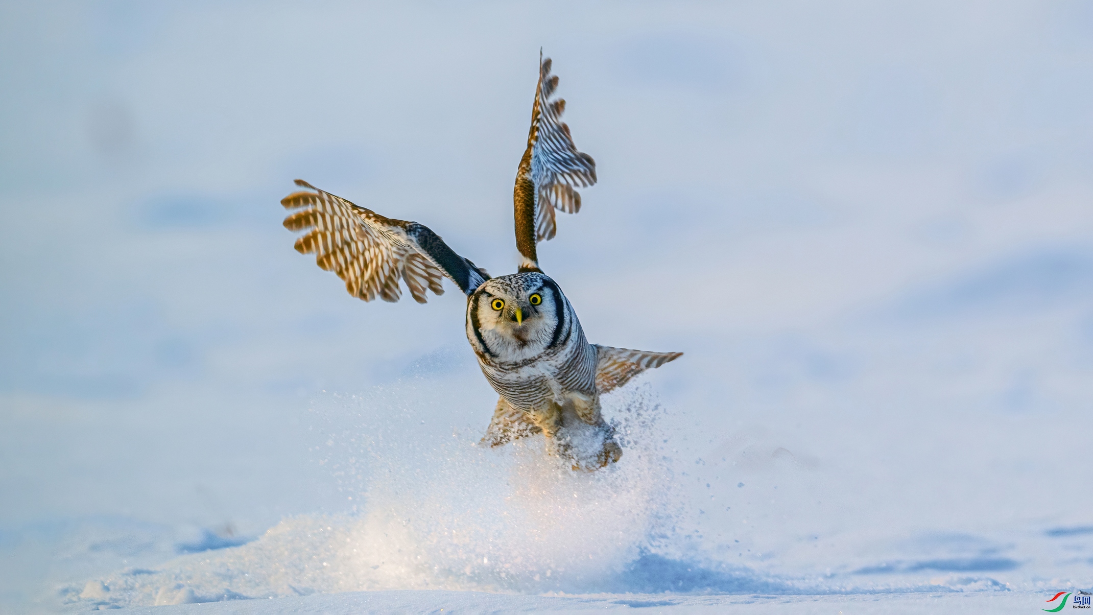 DSC_2454 ����0 ���� 201.jpg