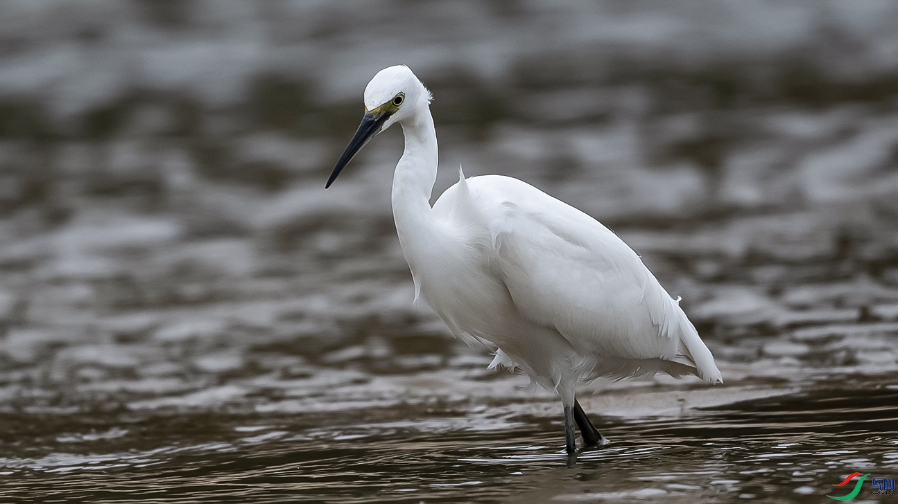 DSC_5910--.jpg
