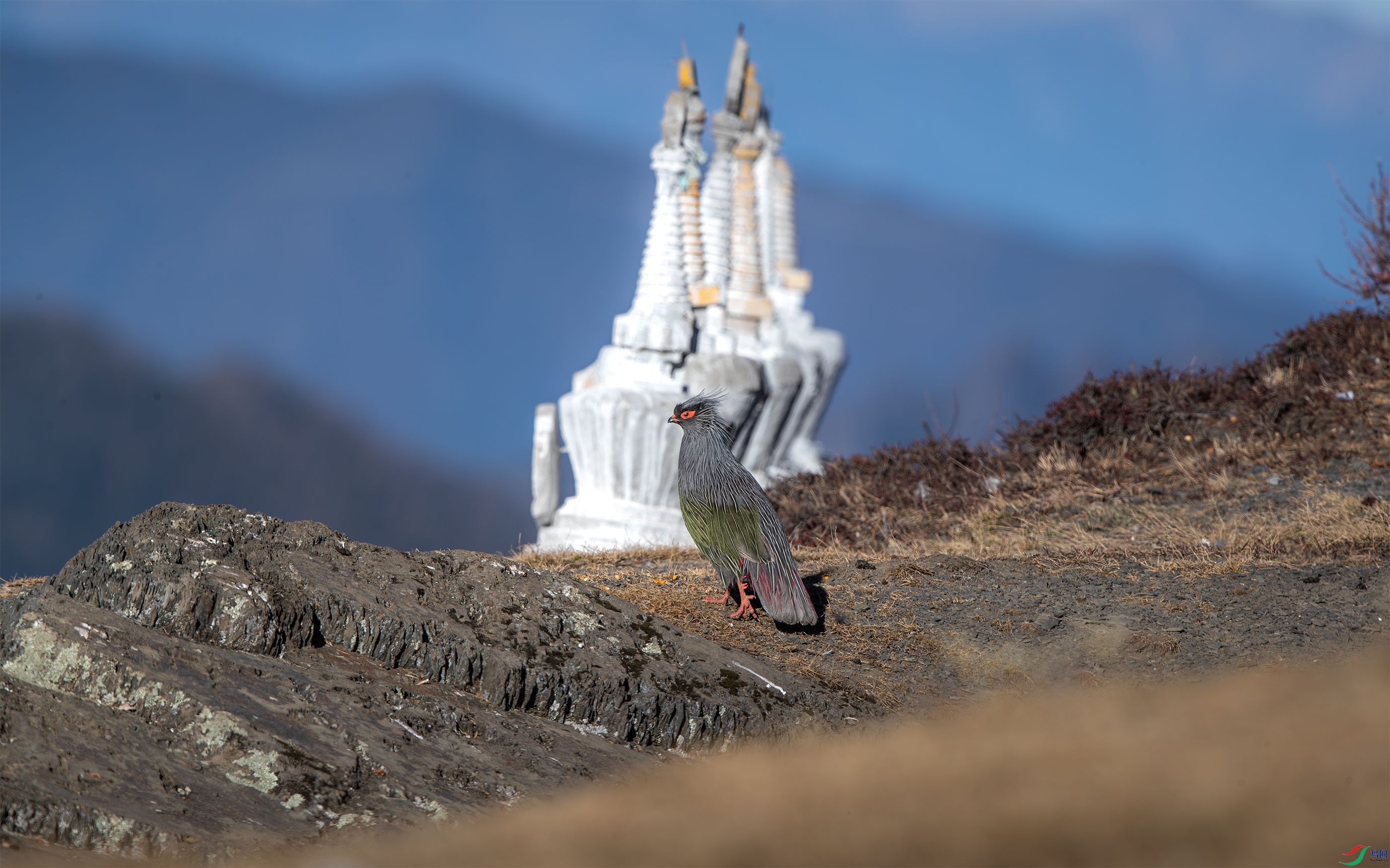 AY8I0374 ����.jpg