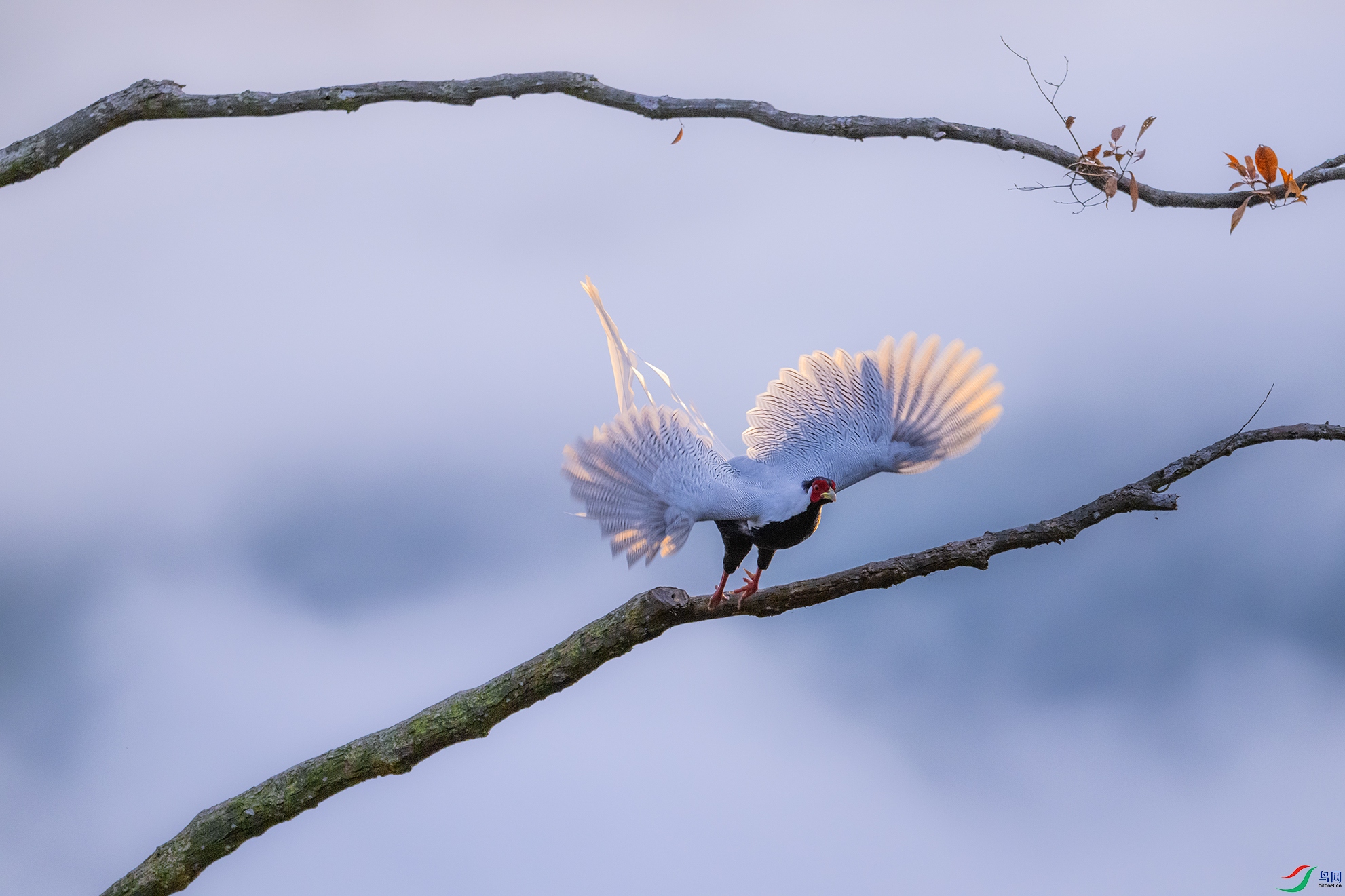 _DSC6147 ����.jpg