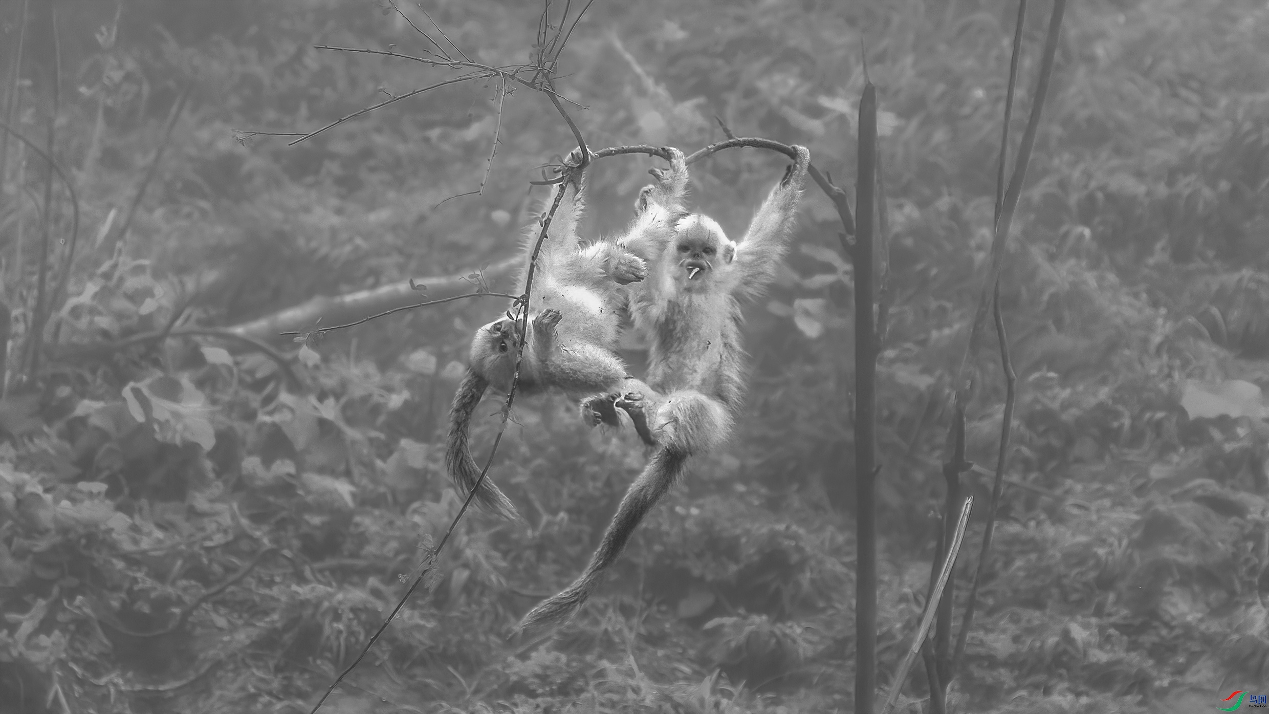 BJ4T8202 ����.jpg