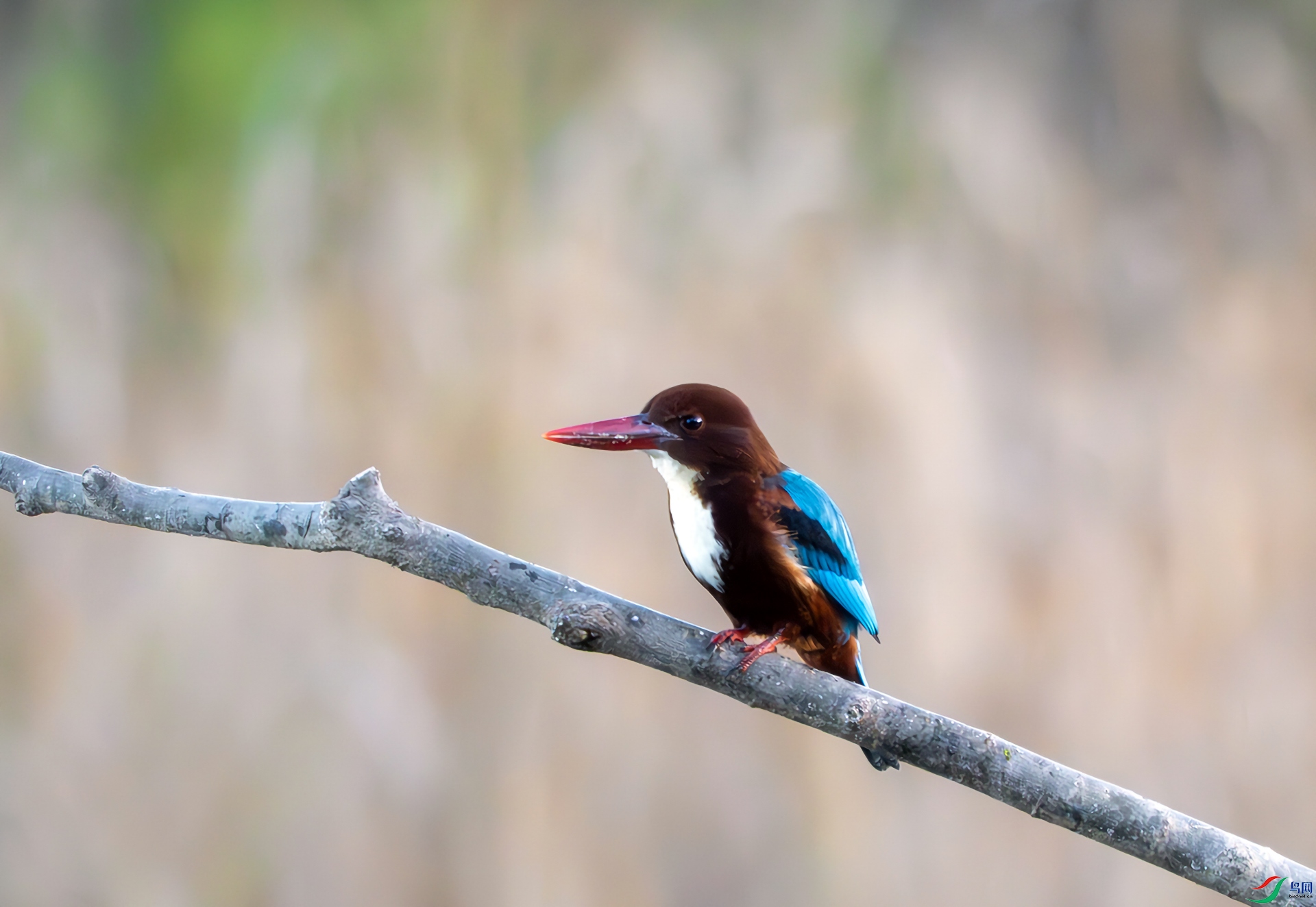 DSC07468-����ǿ-NR ����.jpg