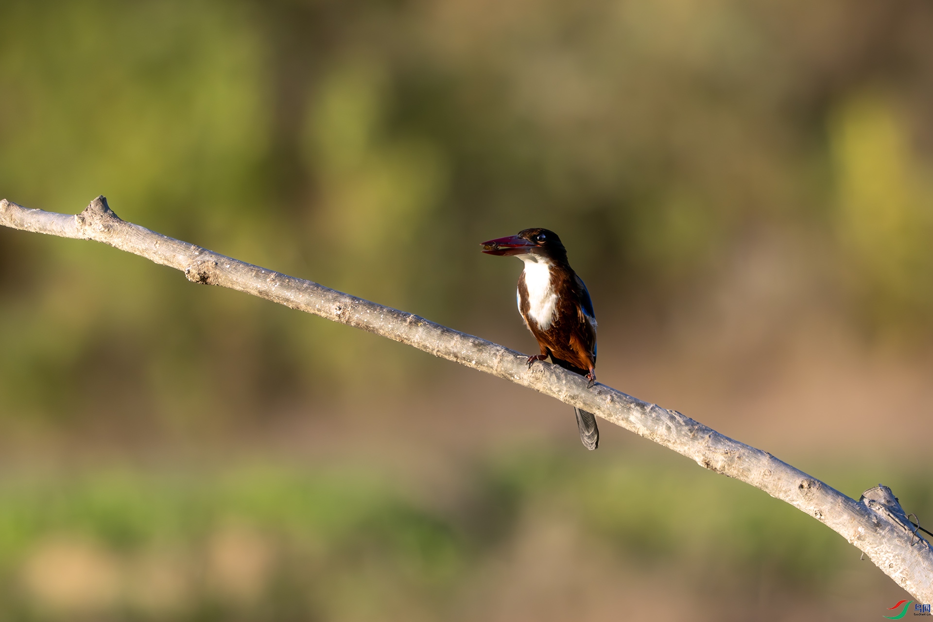 DSC08636-����ǿ-NR ����.jpg