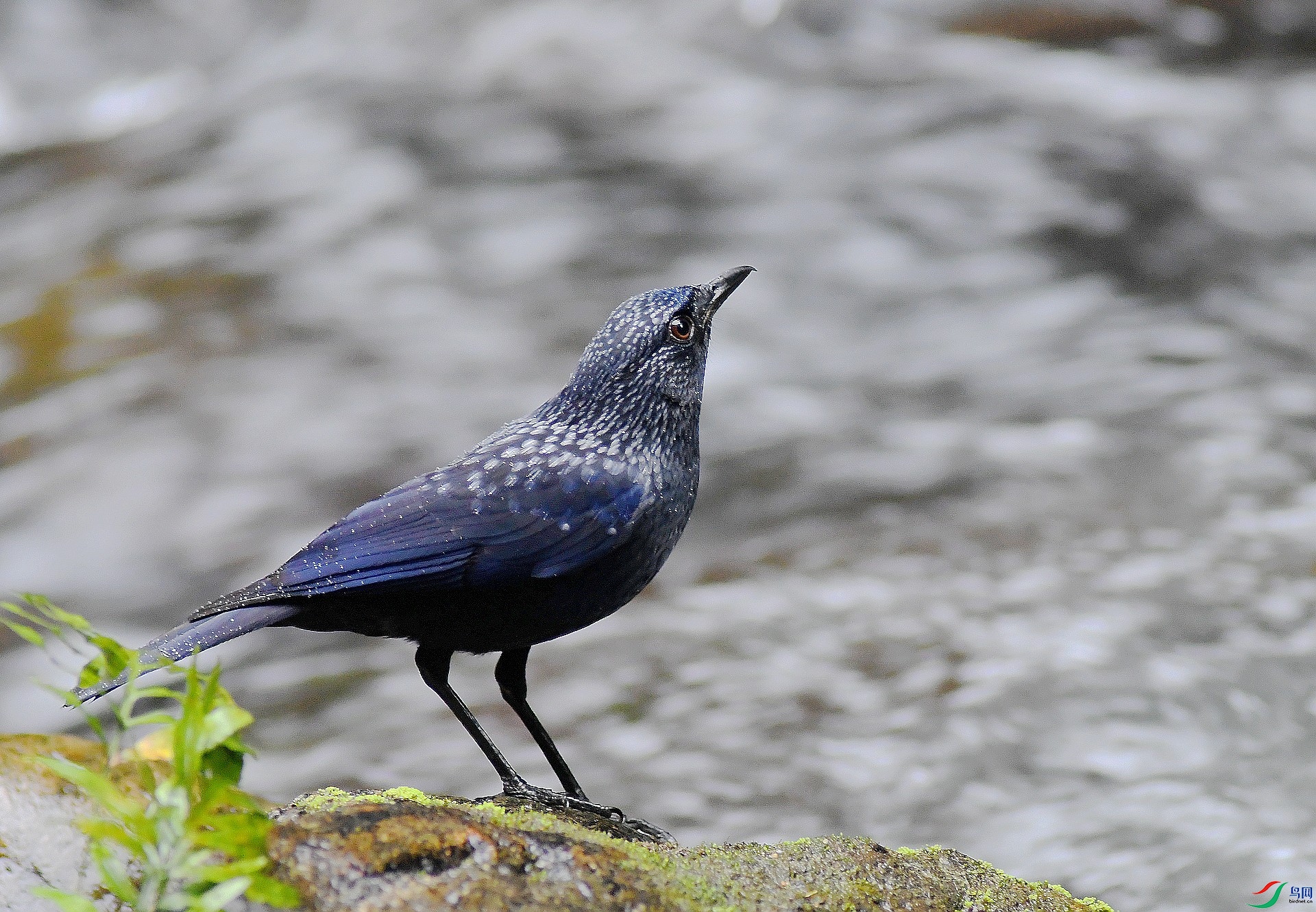 DSC_1541.jpg