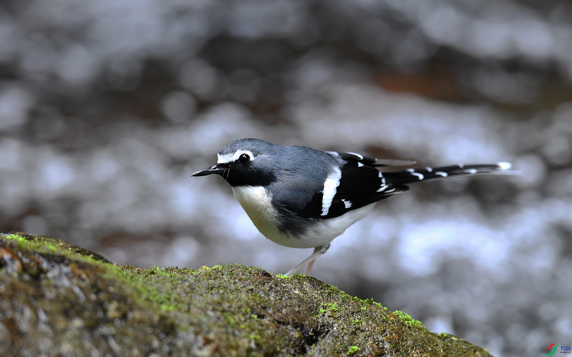 DSC_1754.jpg