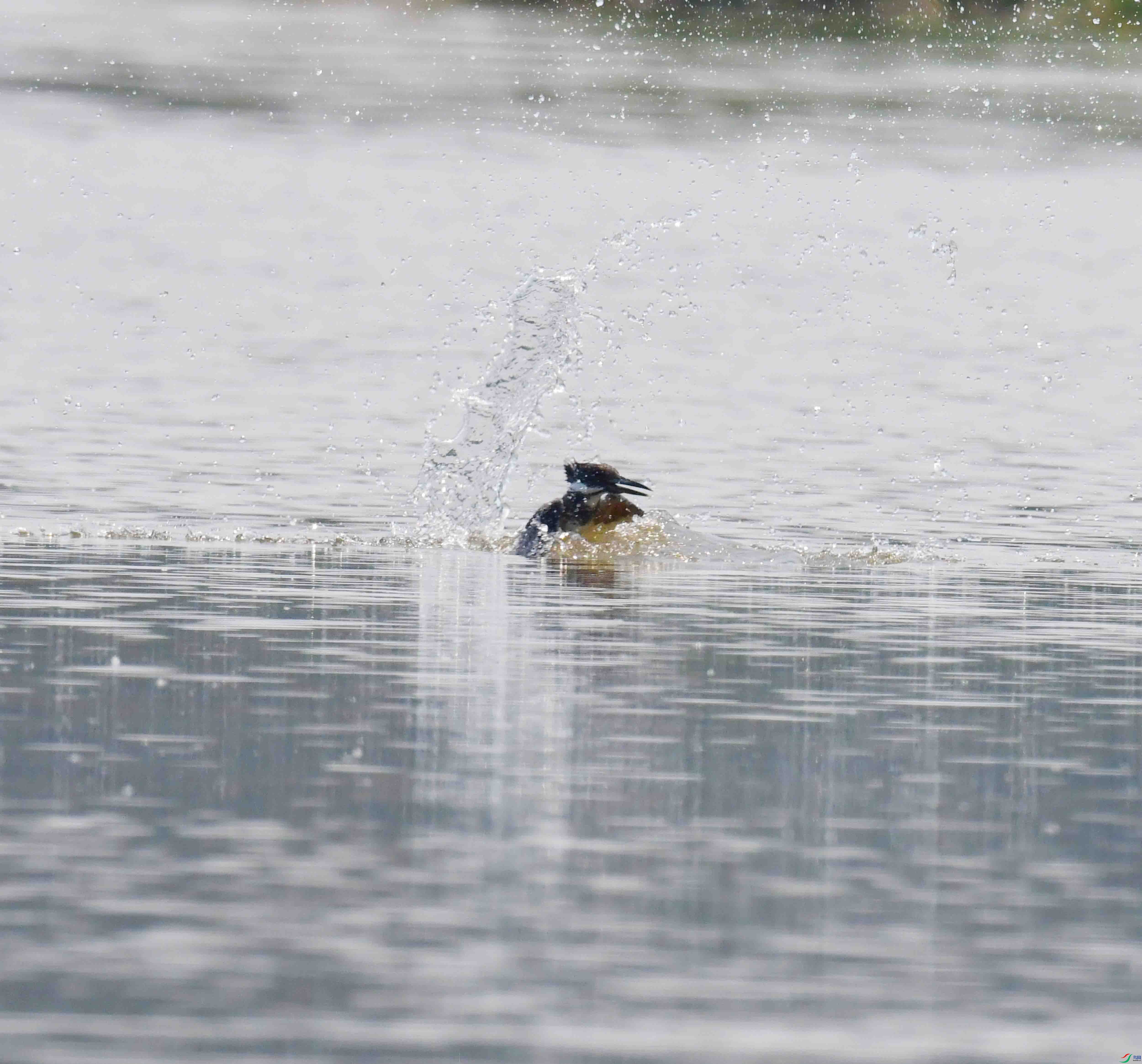 DSC_2096.JPG