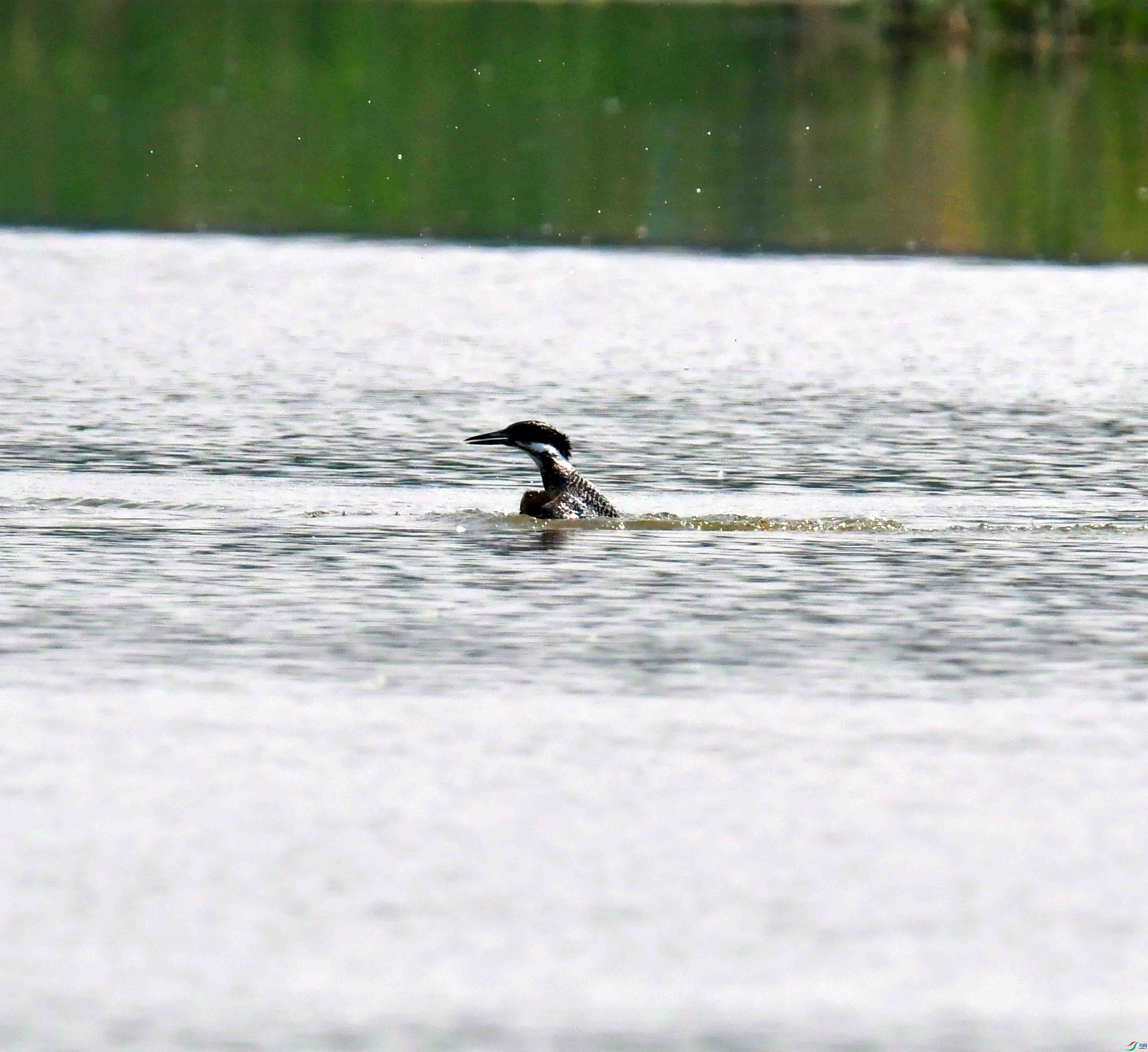 DSC_2272.JPG