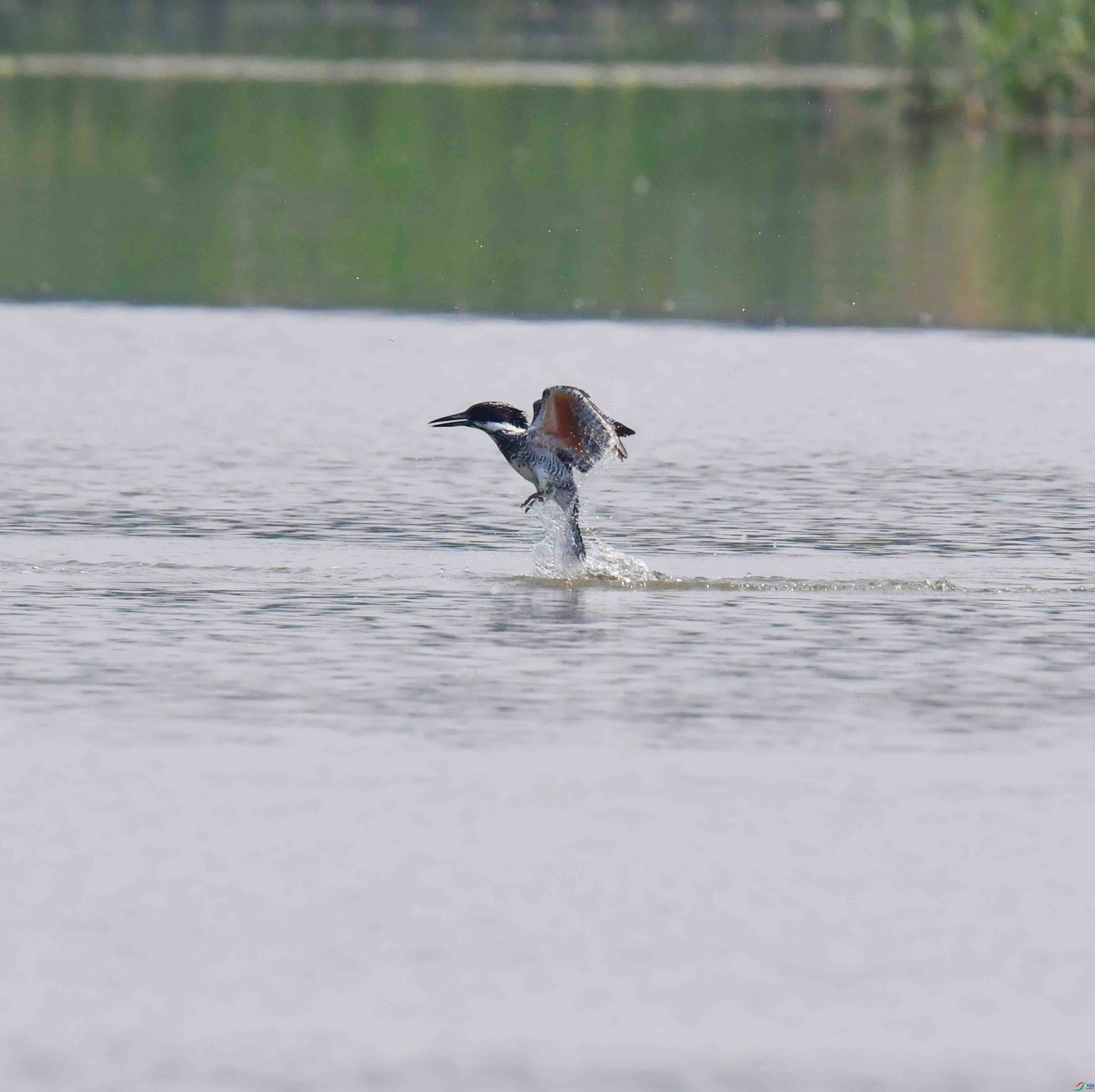 DSC_2273.JPG