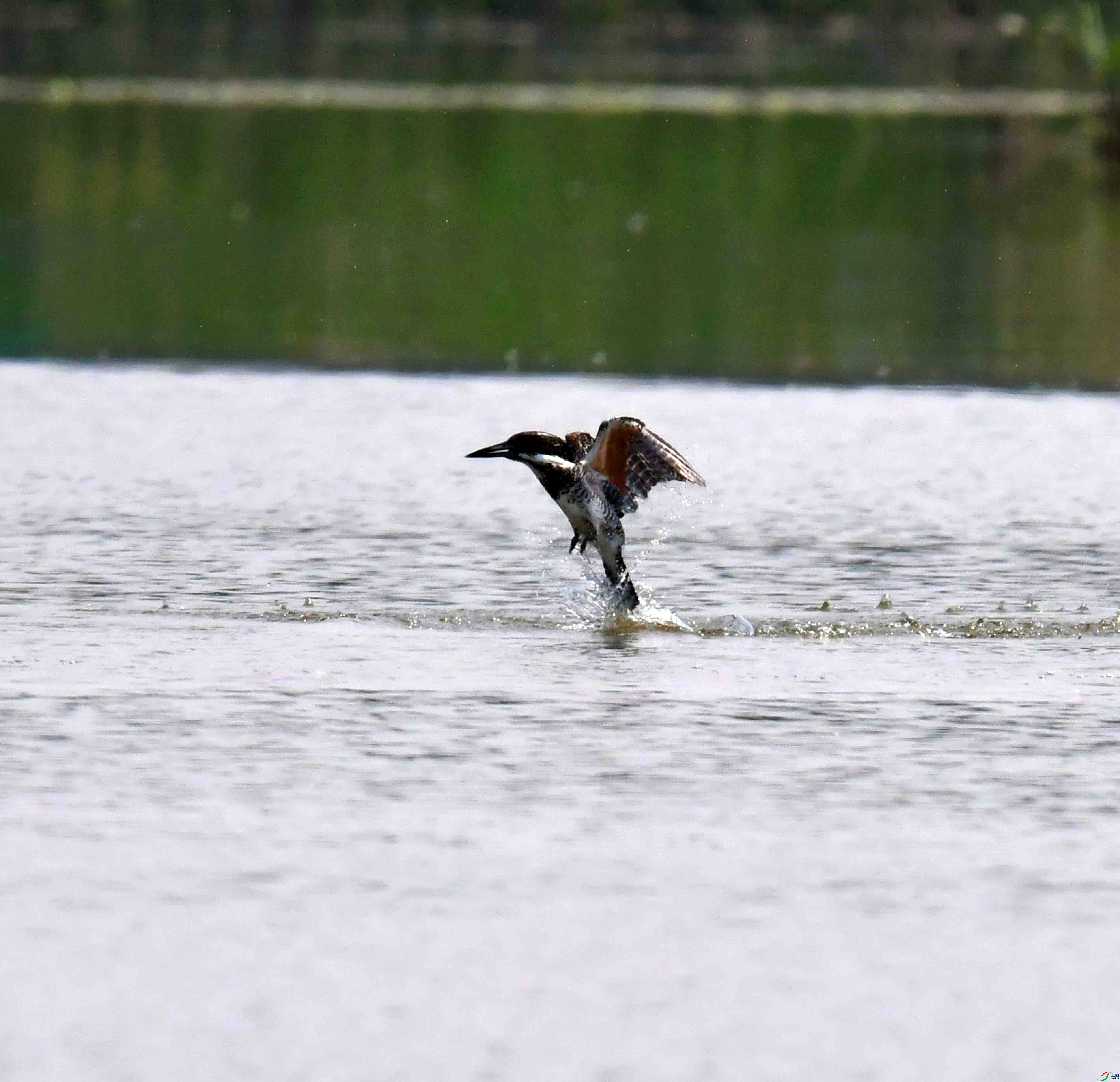 DSC_2288.JPG