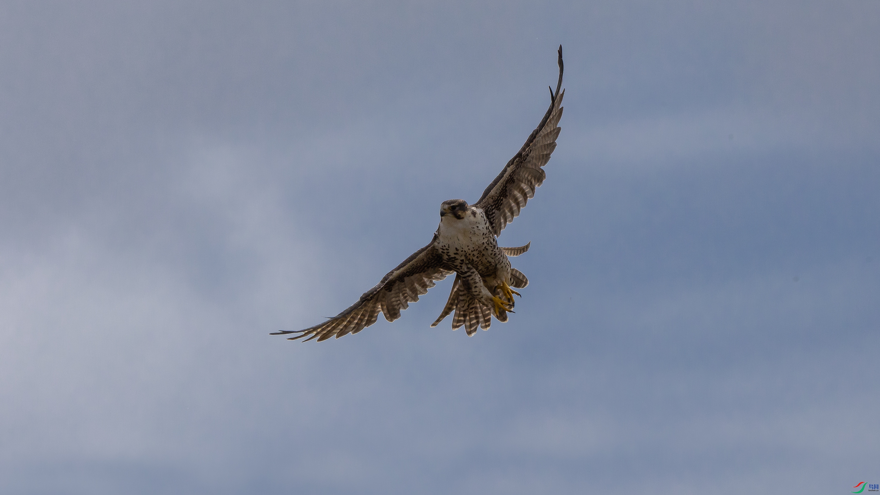 7X5A7841 ����4444.jpg