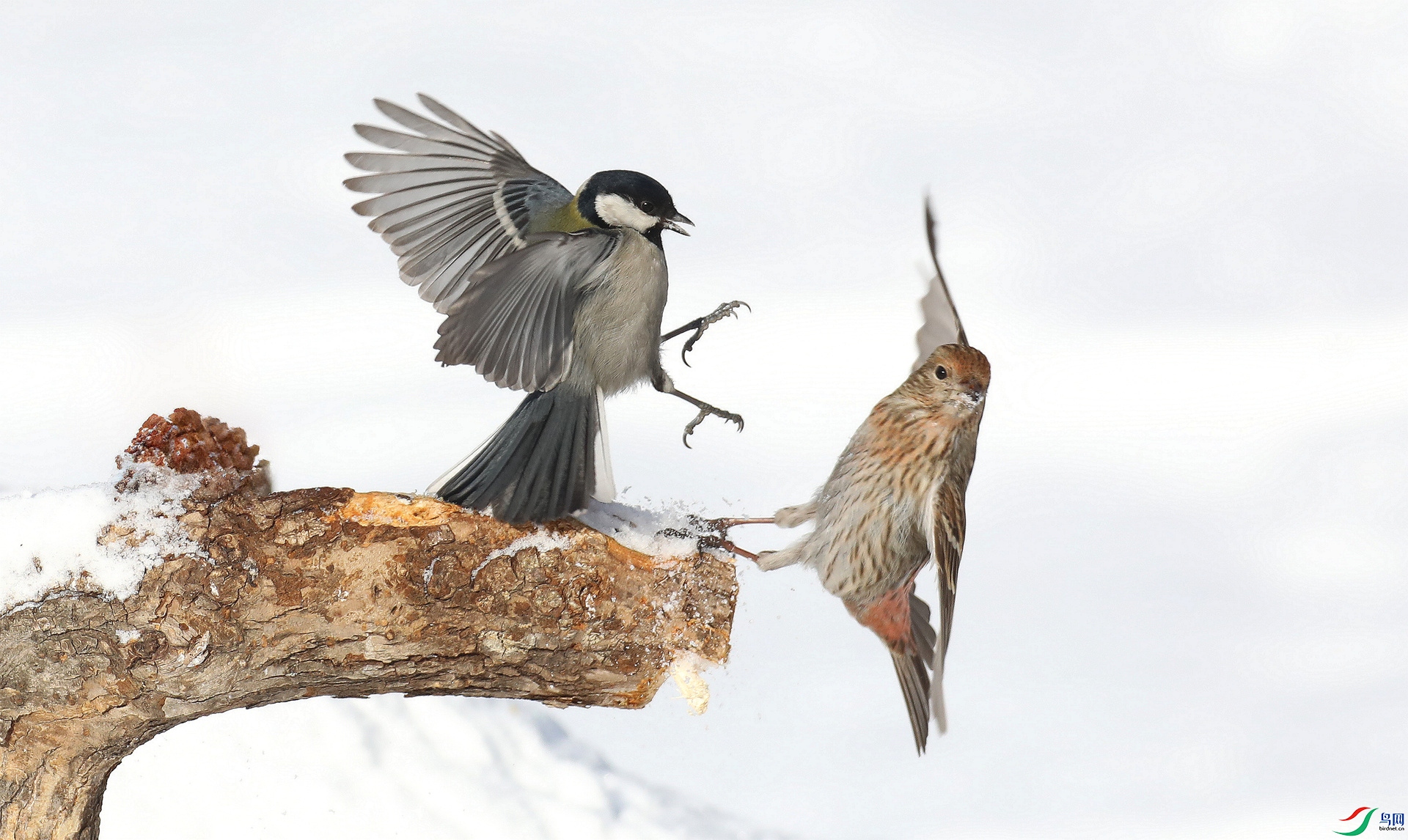 9G8A0157 ����.jpg