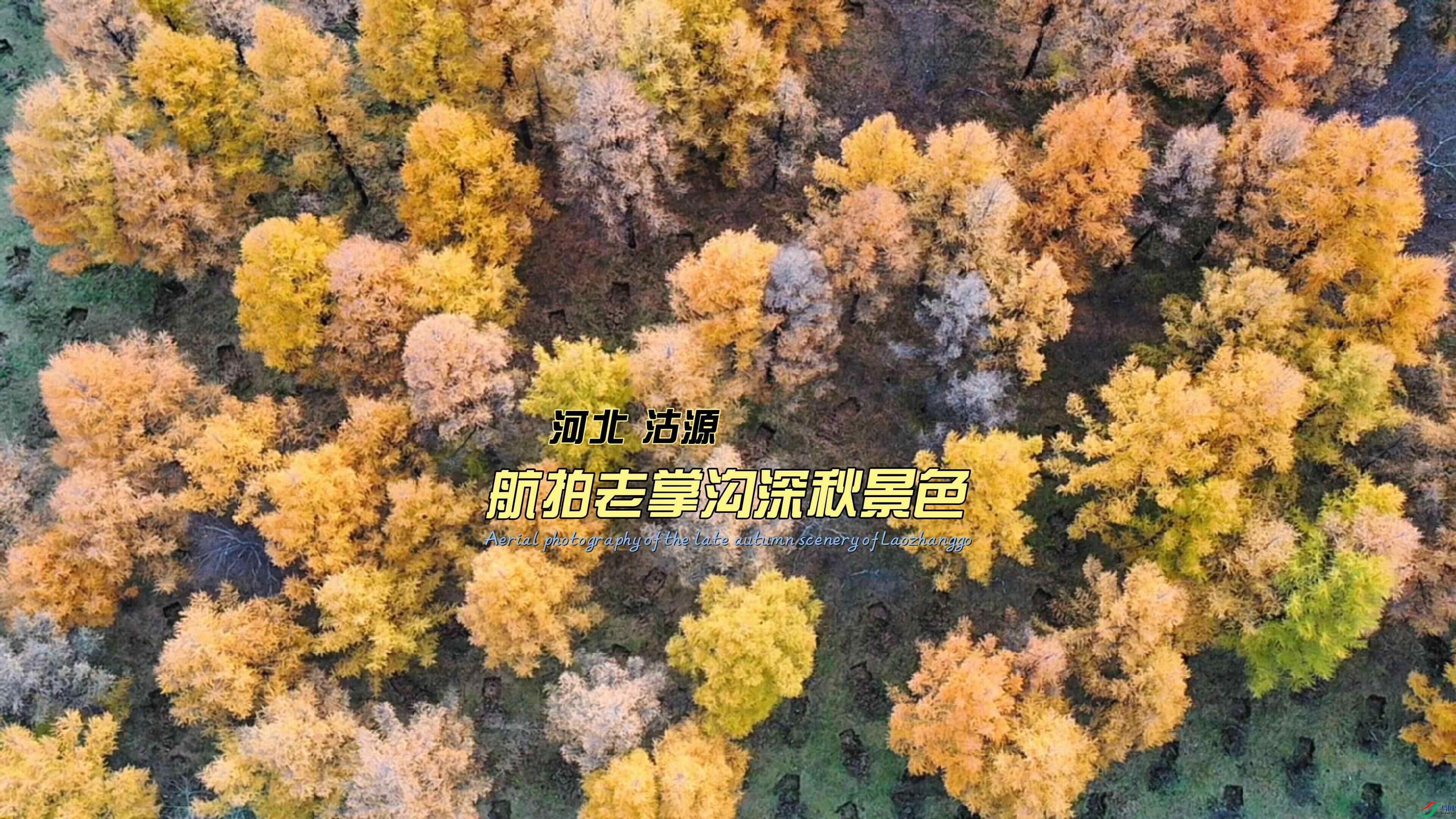 �ӱ� ��Դ �������ƹ����ﾰɫ-����.jpeg