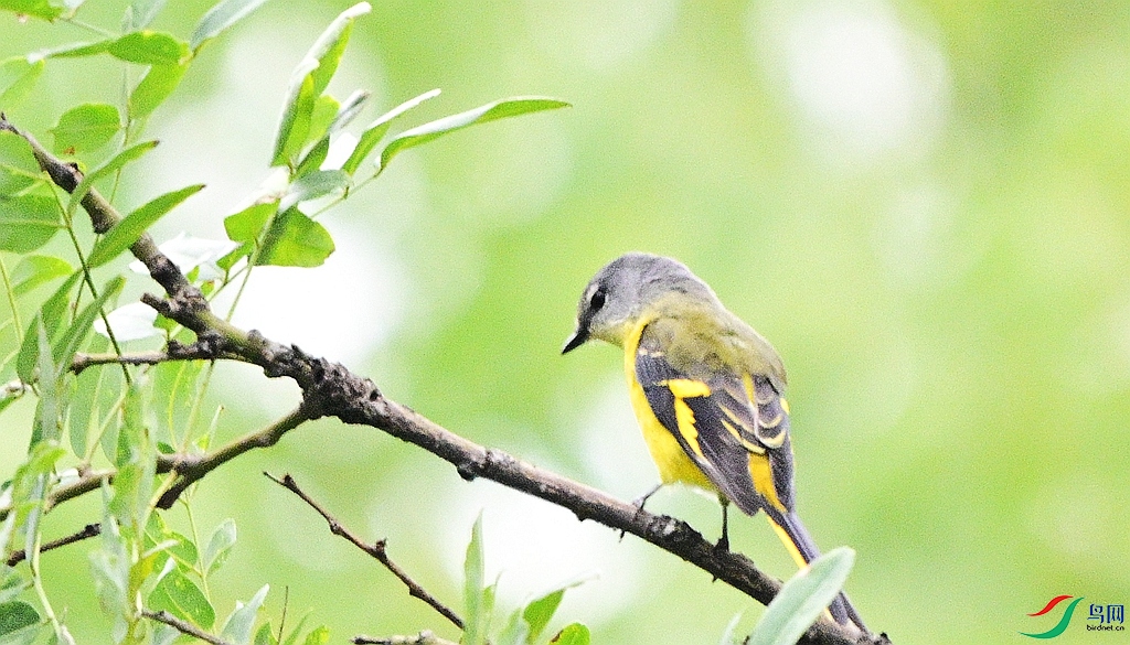 DSC_8837.JPG