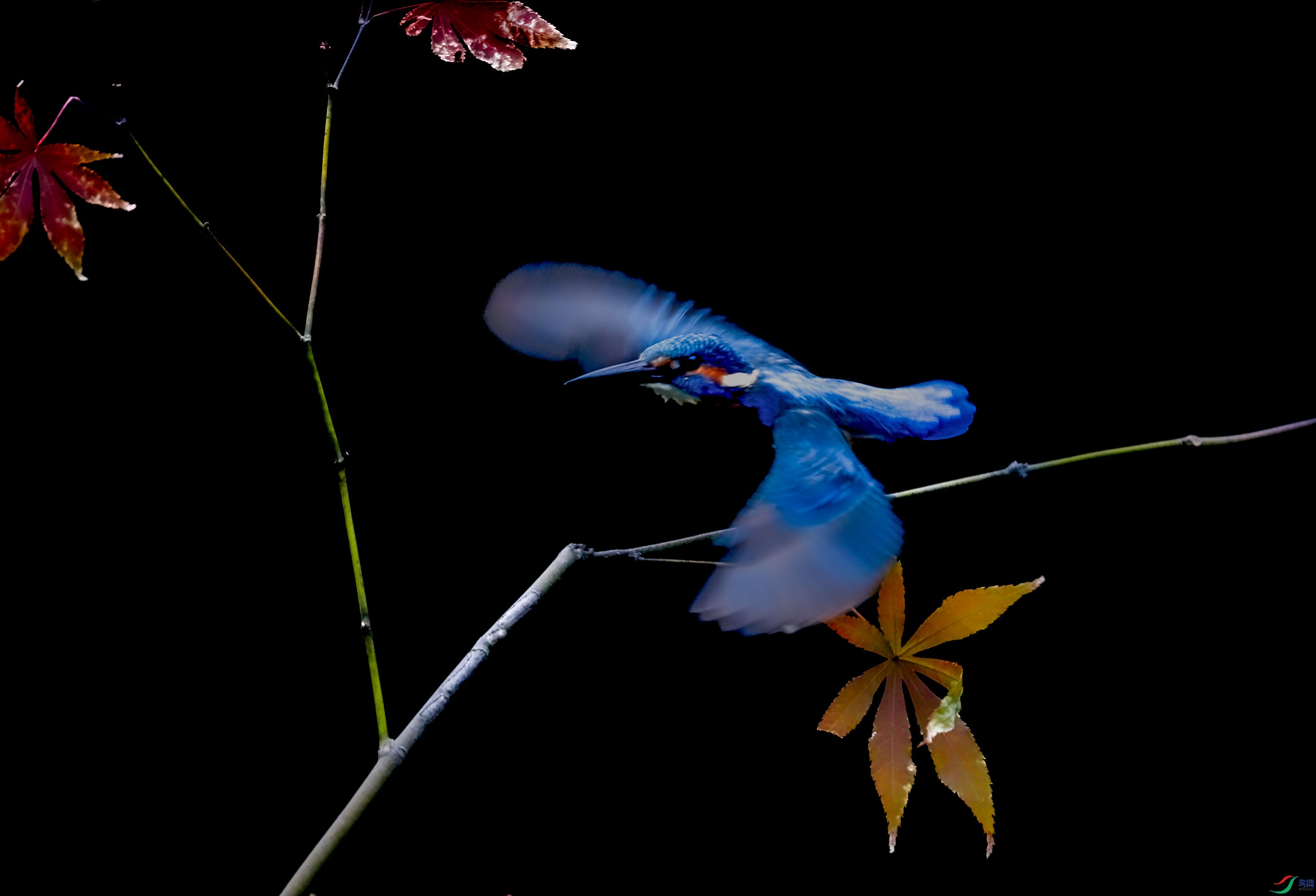 0N6A4572 ����.jpg