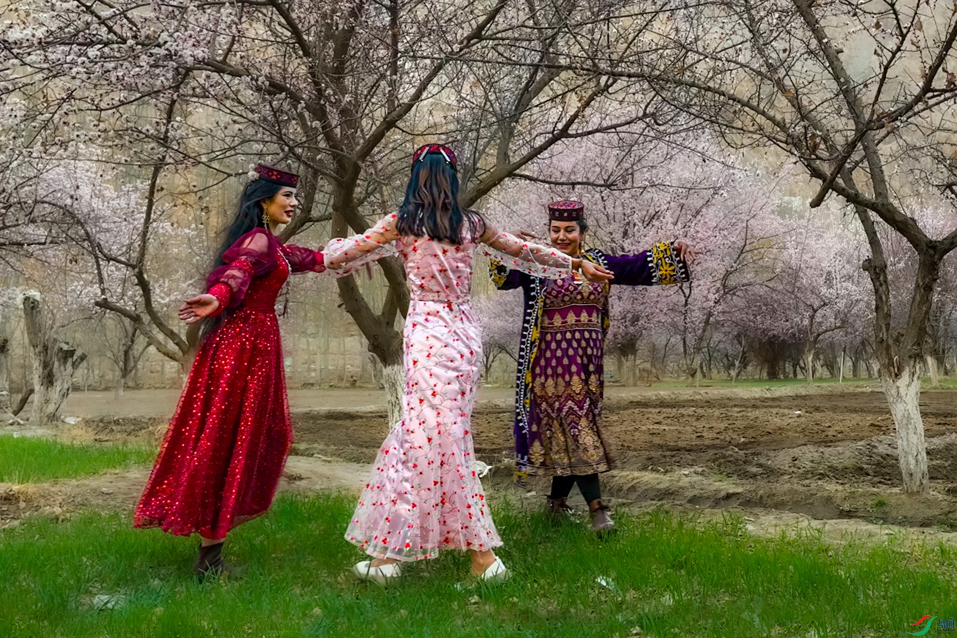 ΢��ͼƬ_2025-10-22_191109_120 ����.jpg