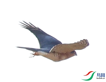 ΢�Ž�ͼ_20251024212926.png