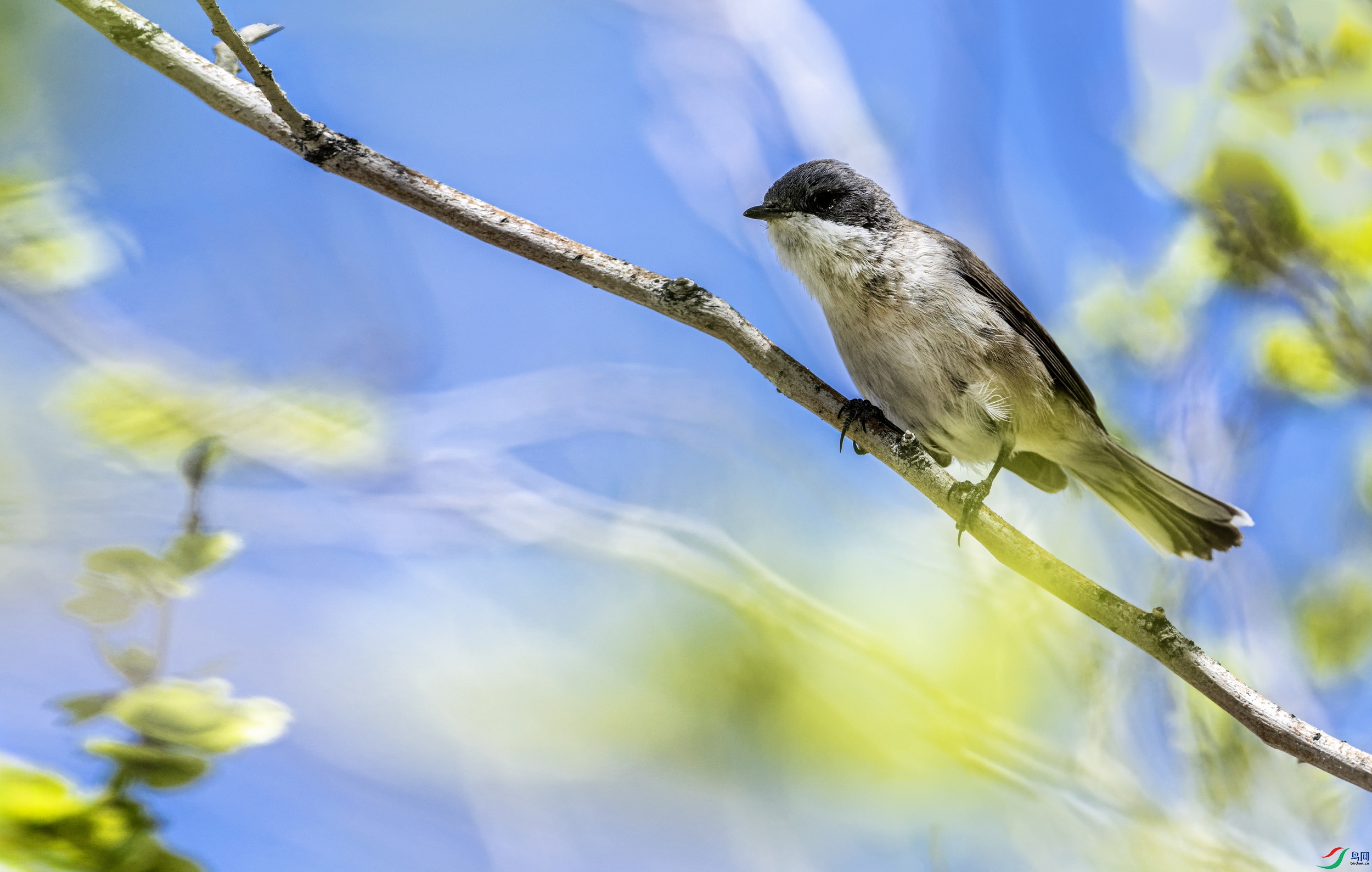 �׺���ݺ (1)-01.jpg